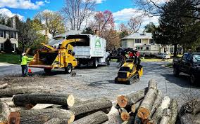 Best Tree and Shrub Care  in West Sayville, NY