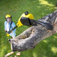 Best Landscape Design and Installation  in West Sayville, NY